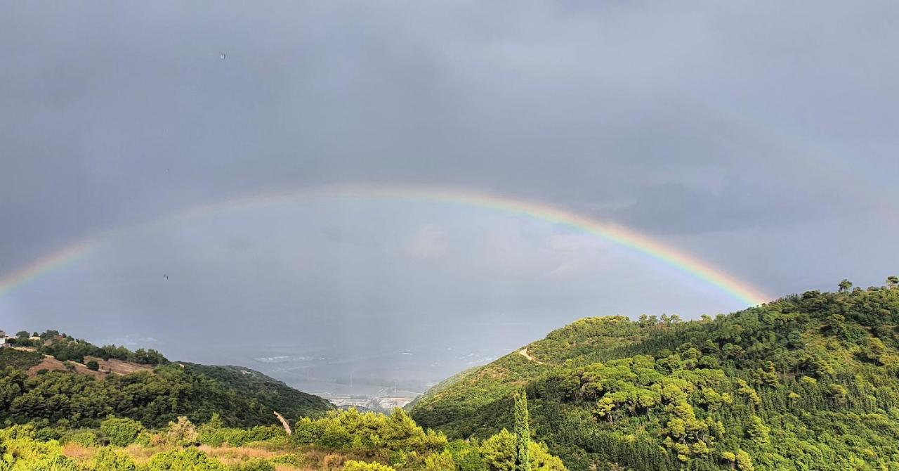 Panoramic View Hotel Isfiya Bagian luar foto